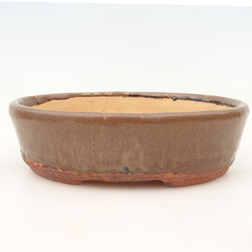 Bonsaischaal 19,5 x 16 x 6 cm , kleur bruin