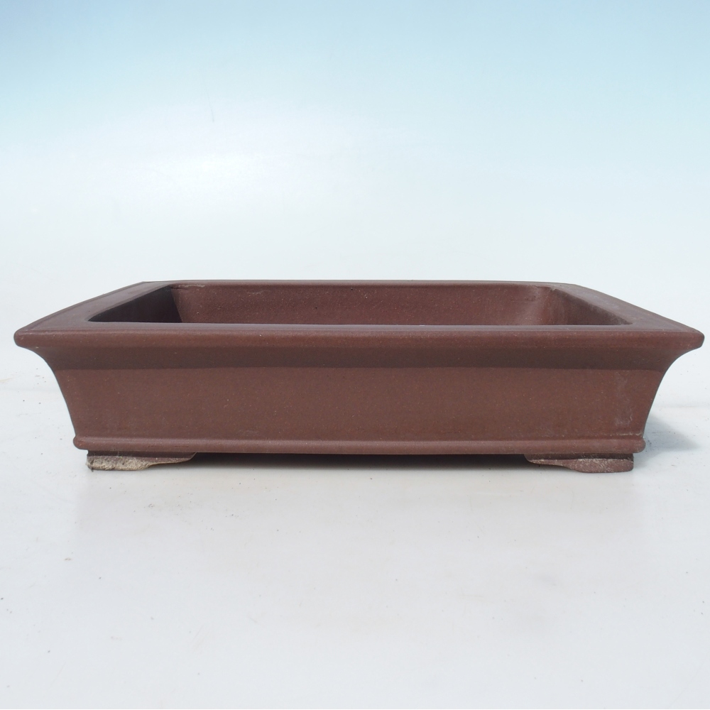 Bonsaischaal 30 x 24 x 7 cm berken bruin