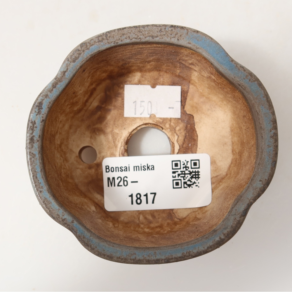 Keramische bonsaischaal 8 x 7,5 x 3,5 cm, kleur: blauw