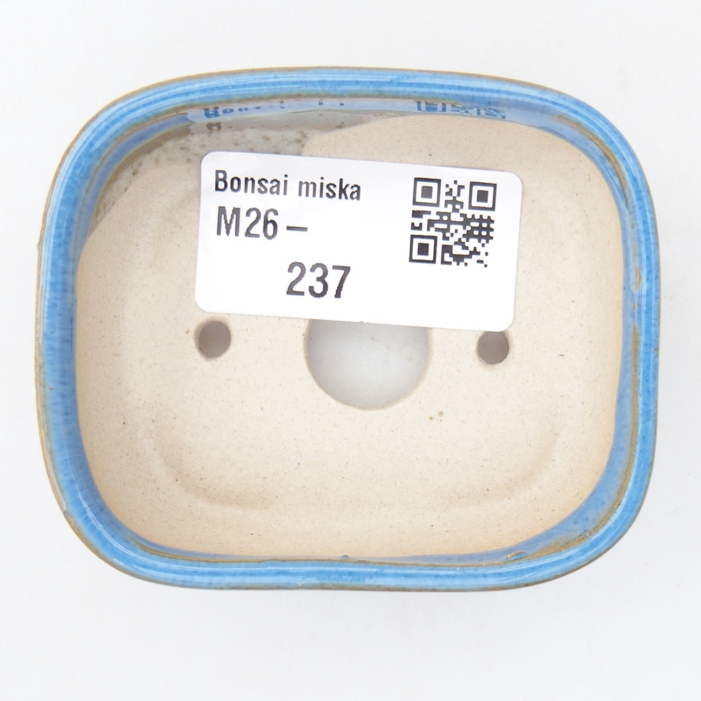 Mini bonsaischaal 7 x 6 x 2,5 cm, kleur blauw