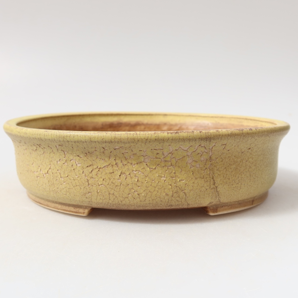 Keramische bonsaipot 18 x 16,5 x 4,5 cm, kleur geel