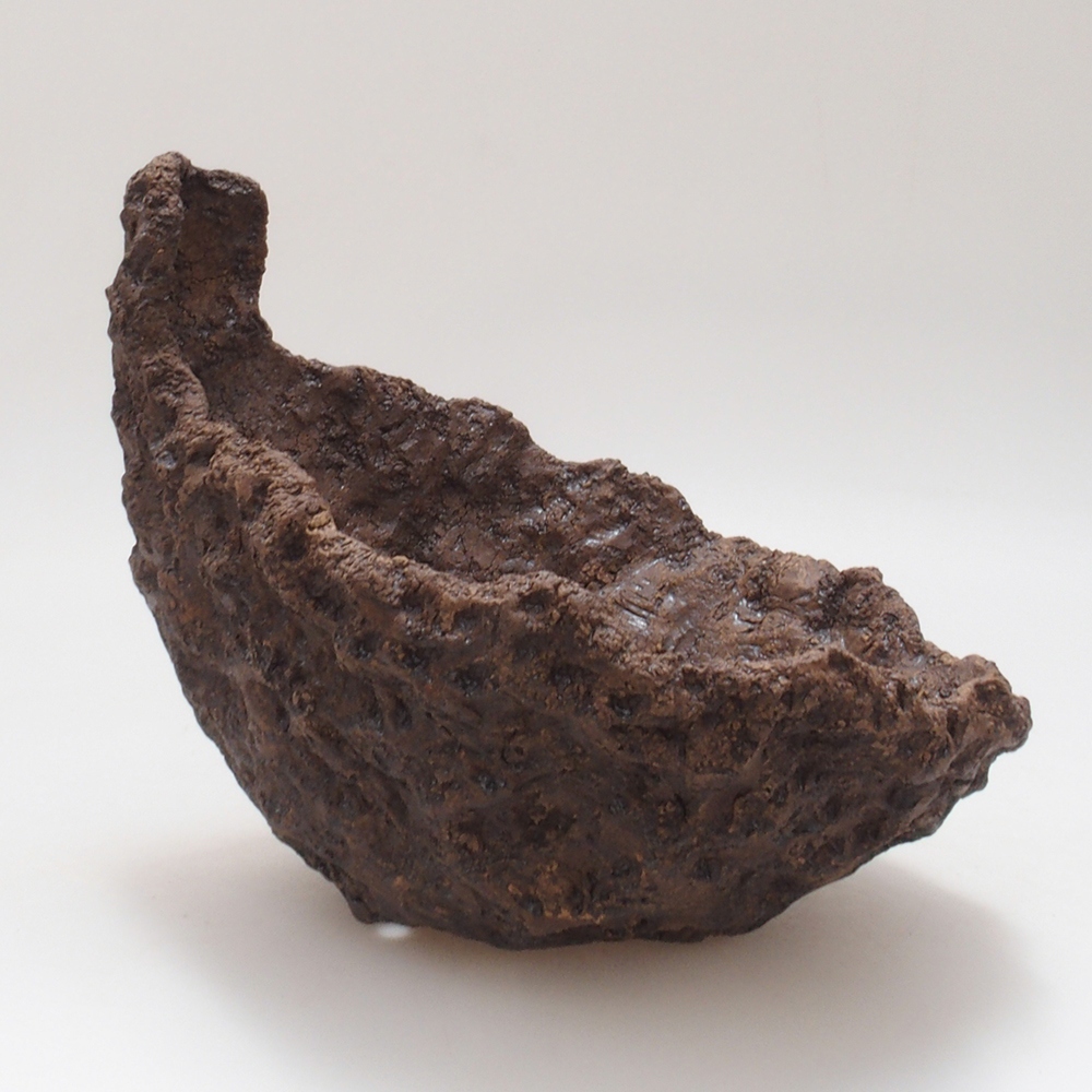 Keramisch Schelp 17,5 x 16 x 17,5 cm , kleur bruin