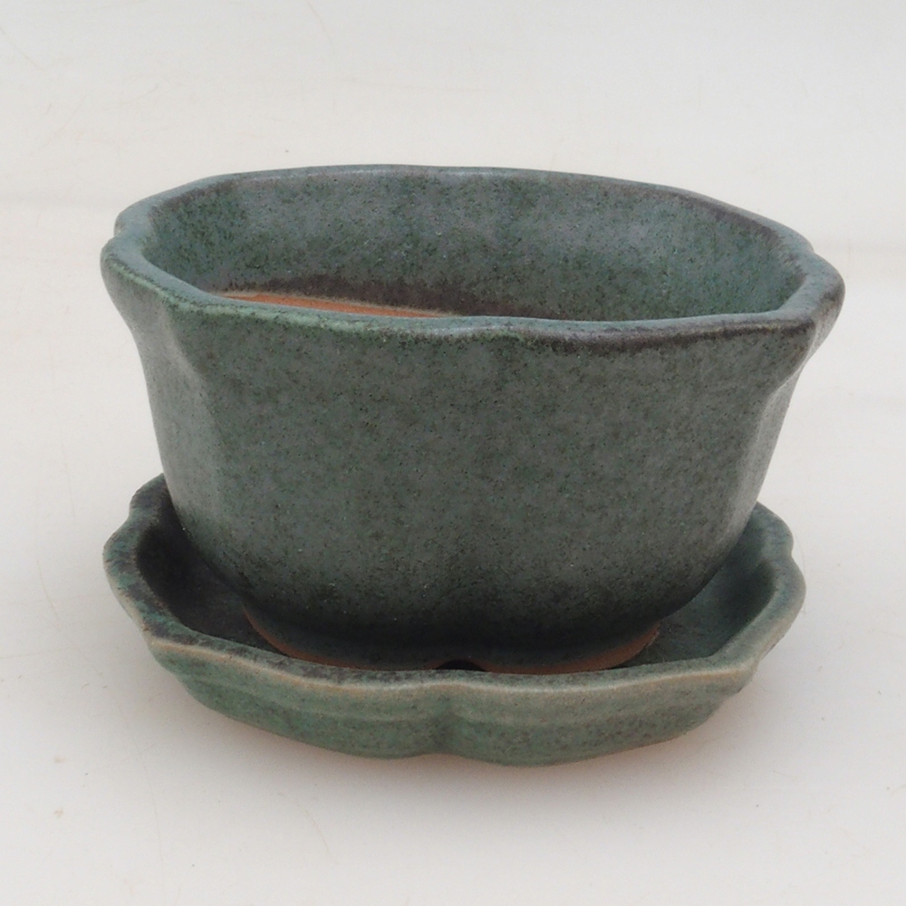 Bonsai kom + schotel H95 - groen