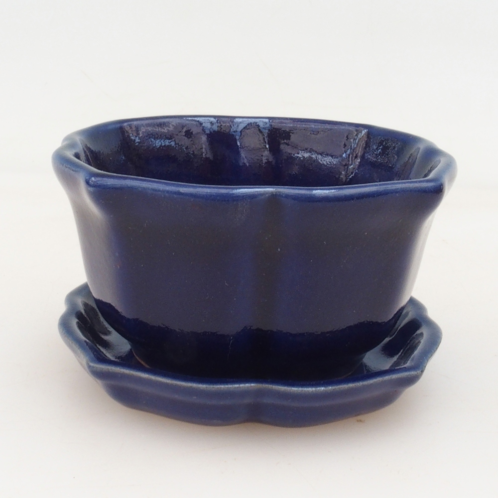 Bonsaischaal + schotel H95 - 7,5x7,5x4 cm