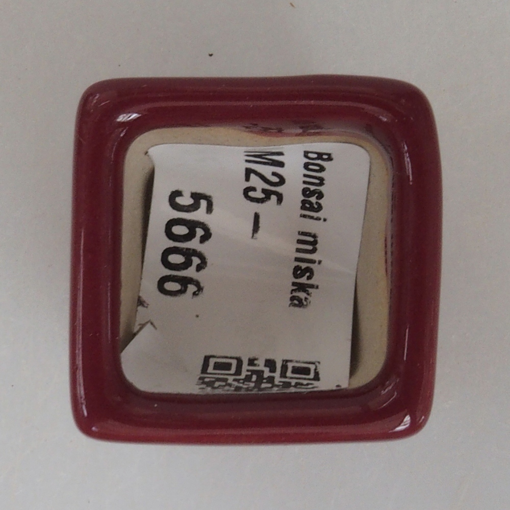 Mini bonsaischaal 3 x 3 x 3,5 cm, bordeauxrood