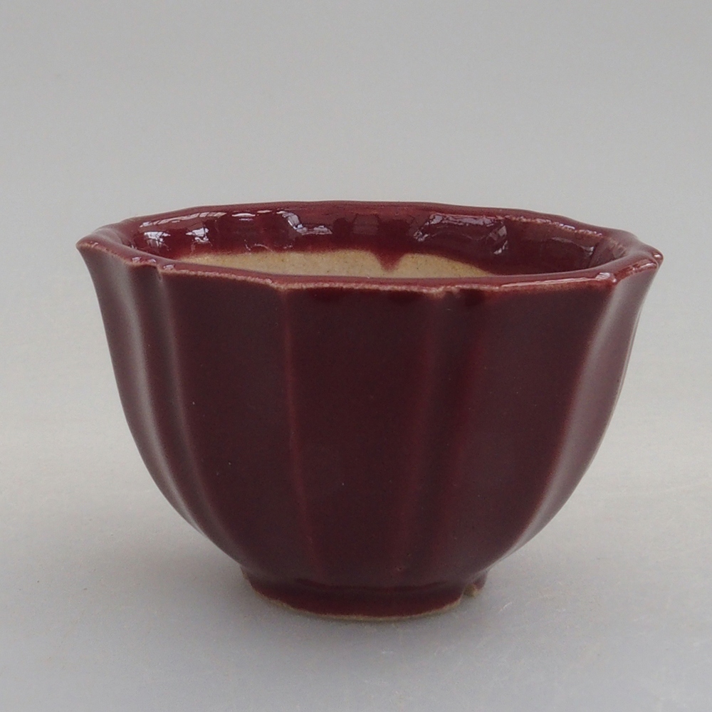 Mini bonsaischaal 5 x 5 x 3 cm, bordeauxrood