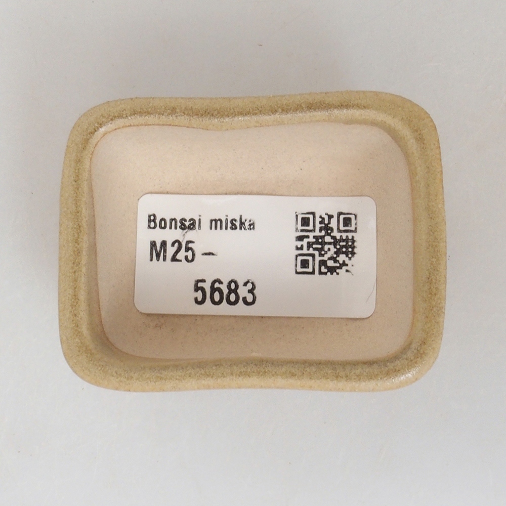 Mini bonsaischaal 5,5 x 4,5 x 2,5 cm, bruin