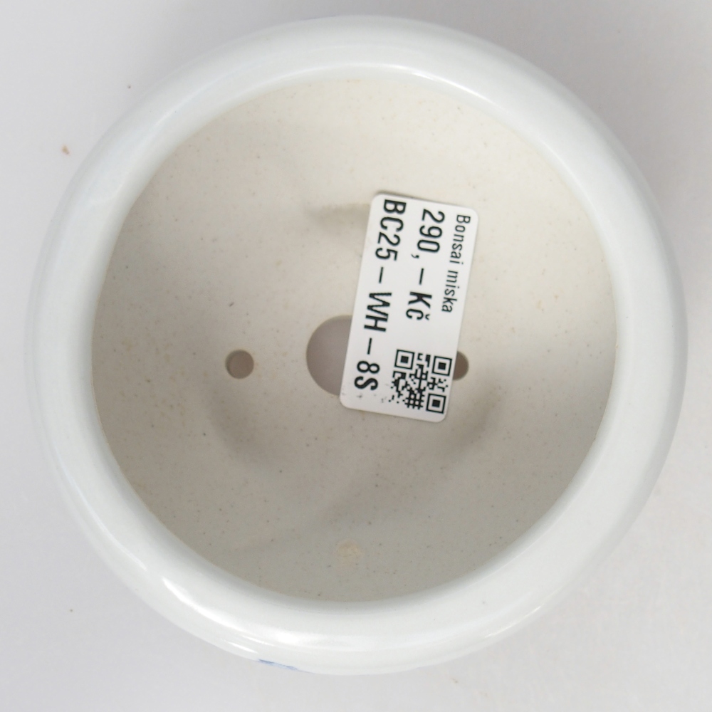 Bonsaischaal van keramiek 10 x 10 x 5 cm, kleur wit