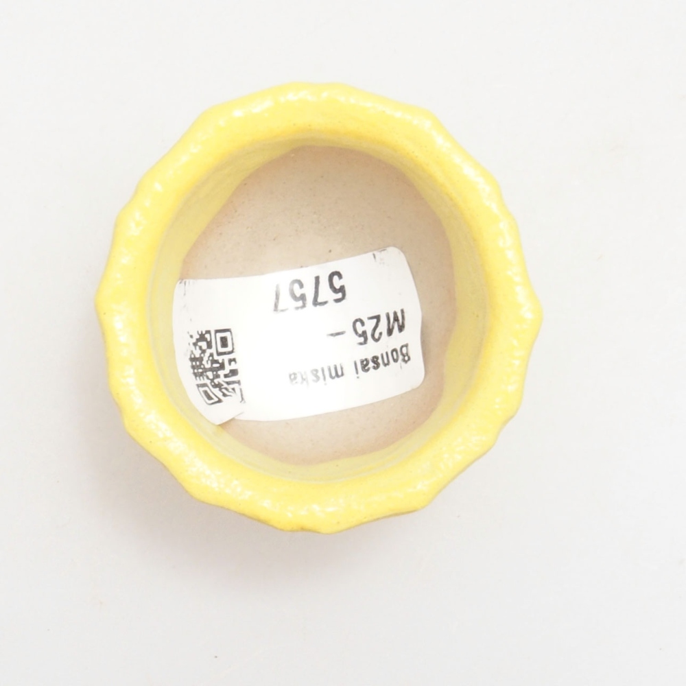 Bonsaischaaltje van keramiek 5 x 5 x 3 cm, geel