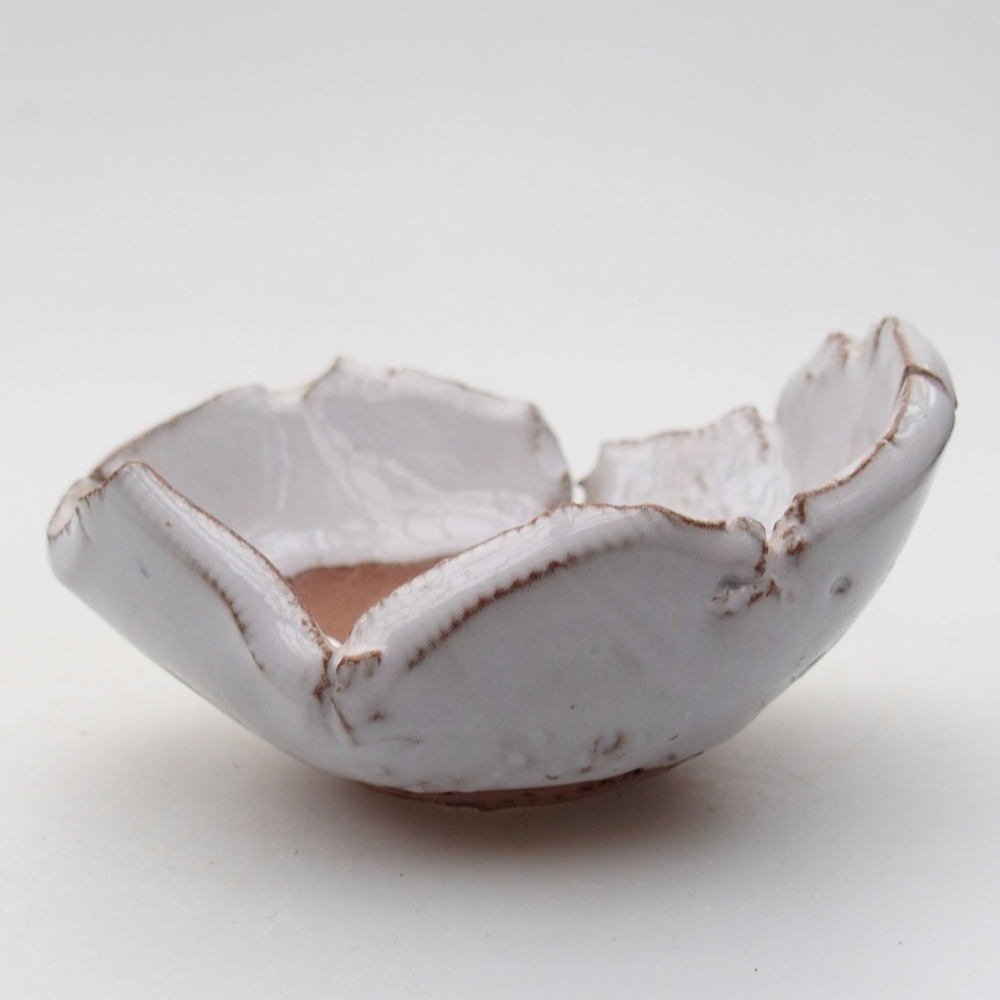 Keramische schelp 9 x 8 x 5 cm , kleur wit