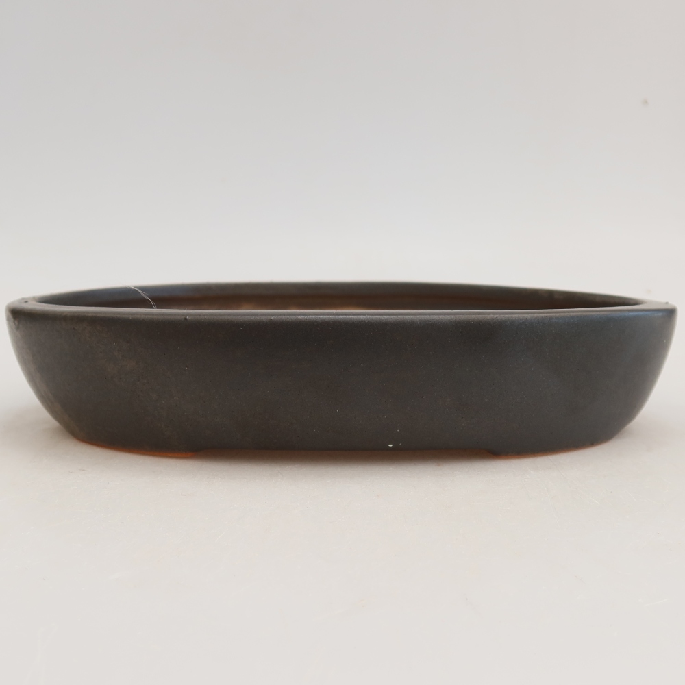 Keramische bonsaipot 22 x 17 x 4 cm, kleur grijs