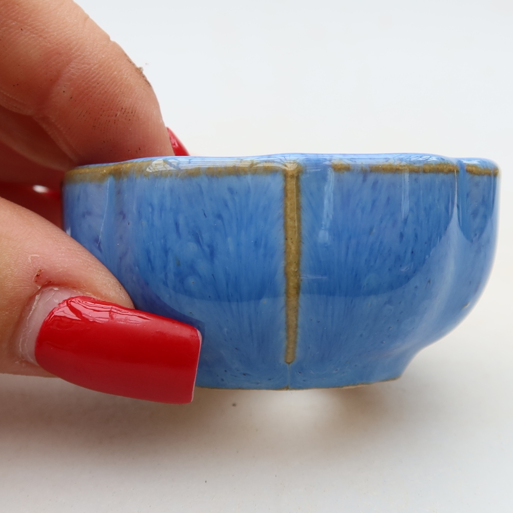 Keramische bonsaipot 6 x 6 x 3 cm, kleur: blauw