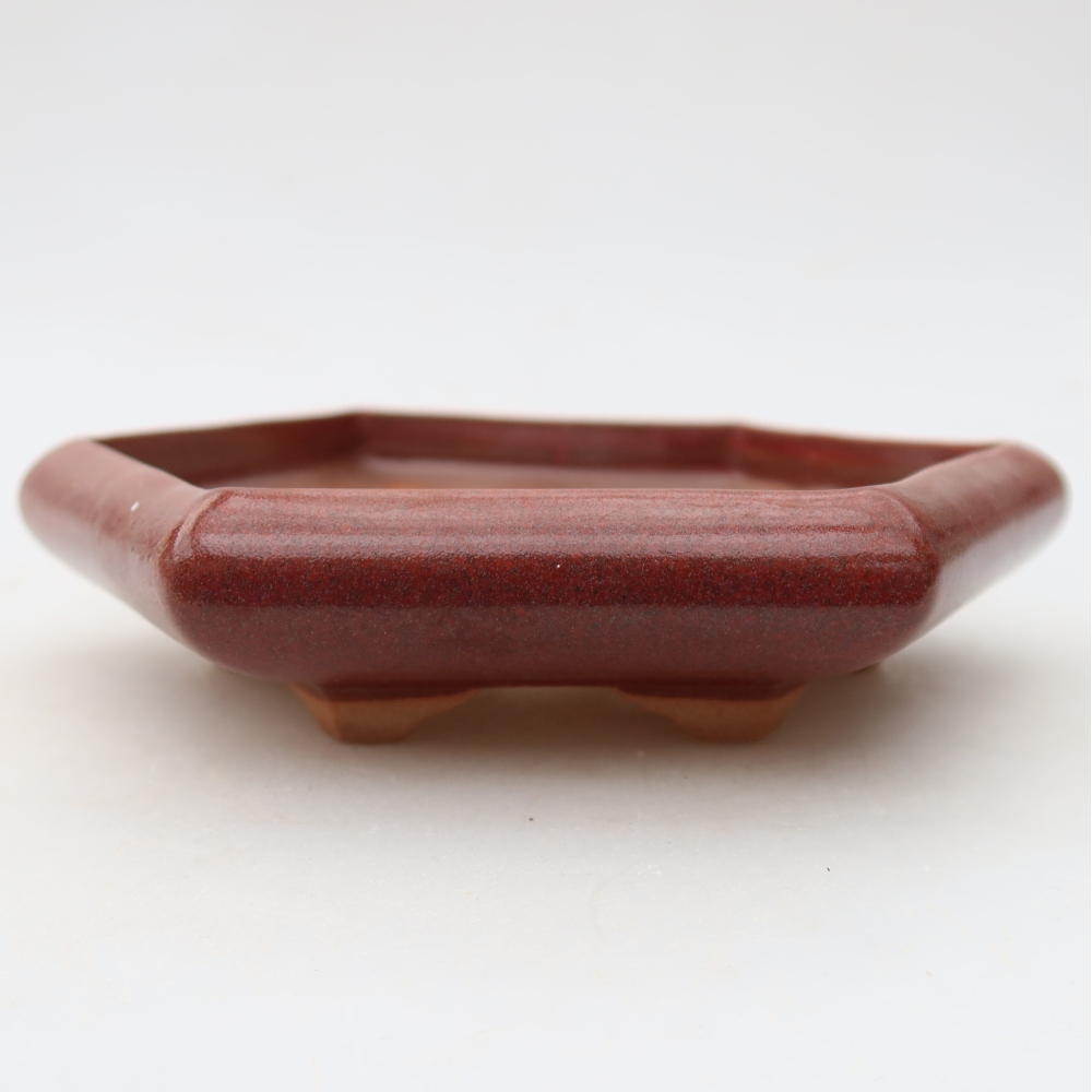 Keramische bonsaipot 17 x 15 x 4 cm, kleur: bordeauxrood