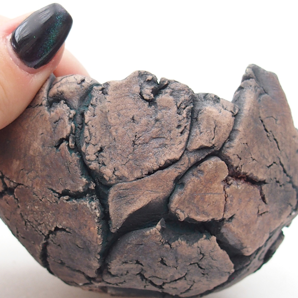 Keramische schelp 9 x 9 x 6 cm , kleur groen