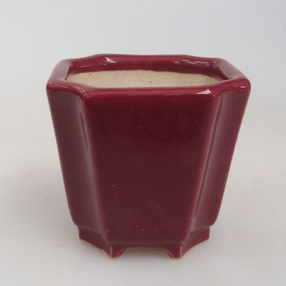 Mini bonsaischaal 4 x 4 x 4 cm, bordeauxrood