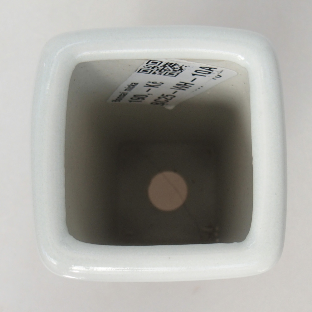 Bonsaischaal van keramiek 5,5 x 5,5 x 12 cm, kleur wit