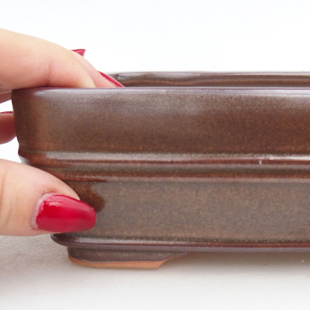 Bonsaischaal van keramiek 17 x 12 x 5,5 cm, bruin