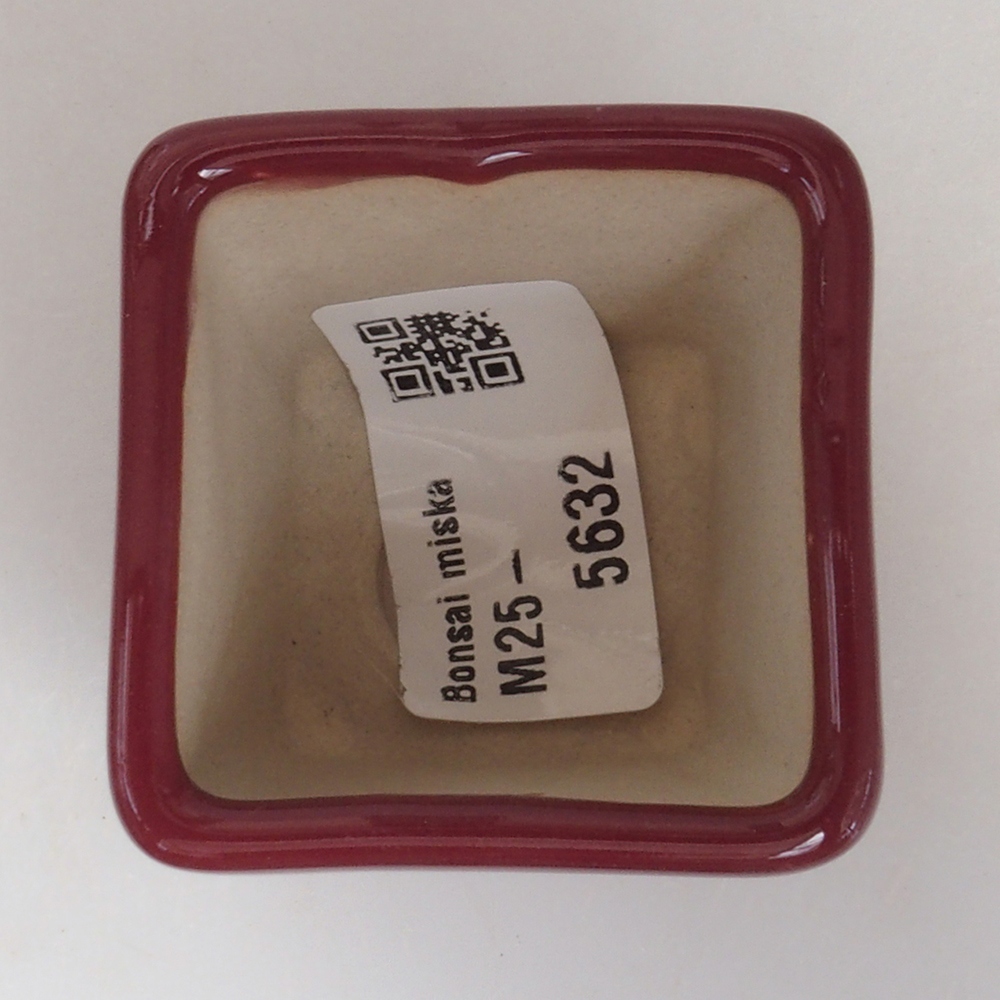 Mini bonsaischaal 4,5 x 4,5 x 4,5 cm, bordeauxrood