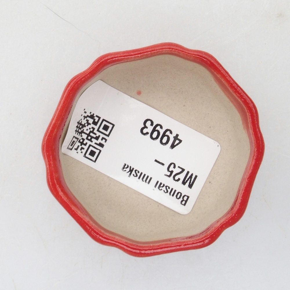 Mini bonsaischaal 4,5 x 4,5 x 2 cm, kleur rood