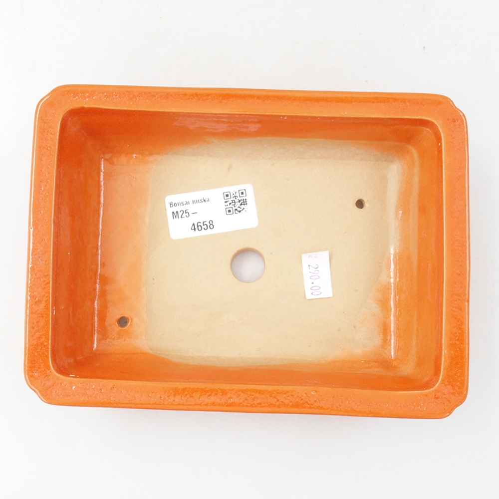 Bonsaischaal van keramiek 17,5 x 13 x 4 cm, oranje
