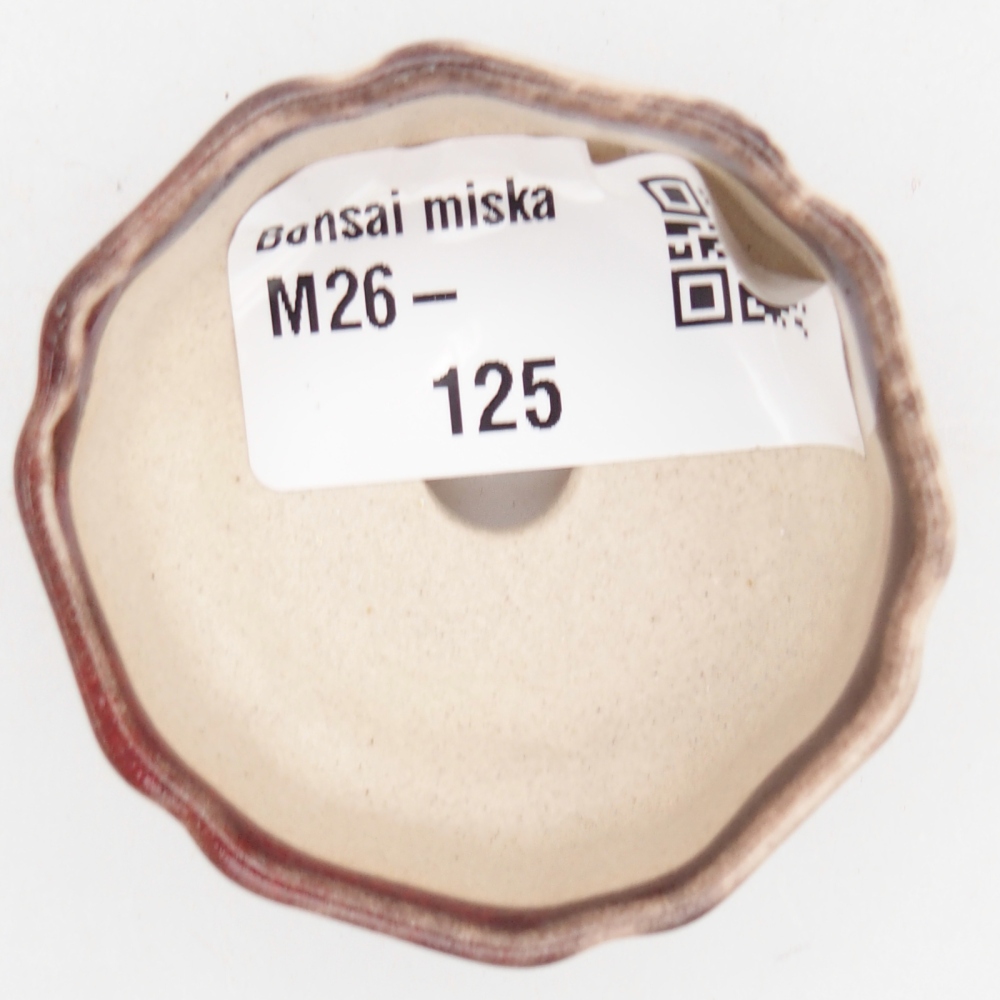 Mini bonsaischaal 4,5 x 4,5 x 2 cm, kleur rood