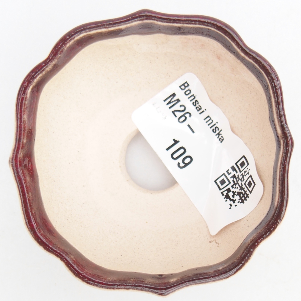 Mini bonsaischaal 6 x 6 x 3 cm, kleur rood