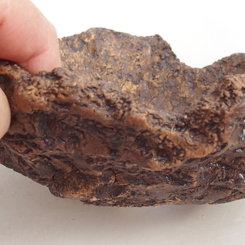 Keramisch Schelp 18 x 18 x 12 cm , kleur bruin