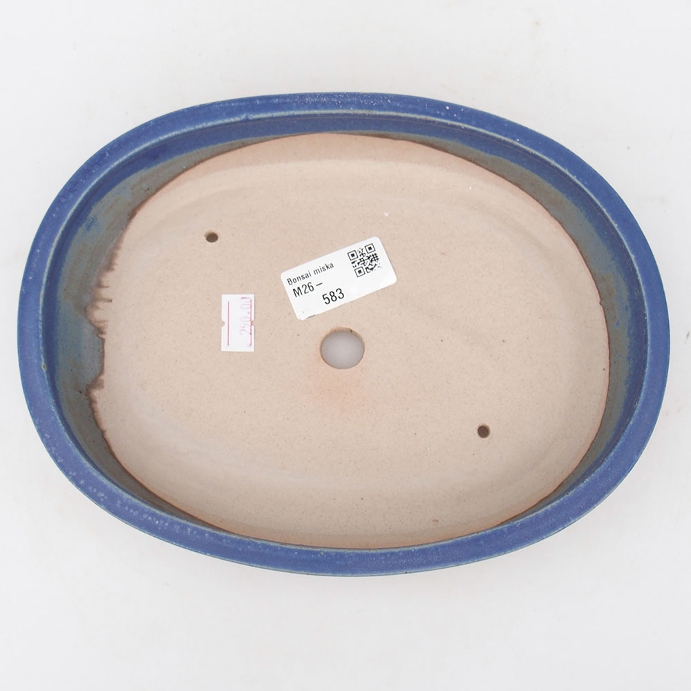 Bonsaischaal van keramiek 22 x 17 x 4 cm, kleur blauw