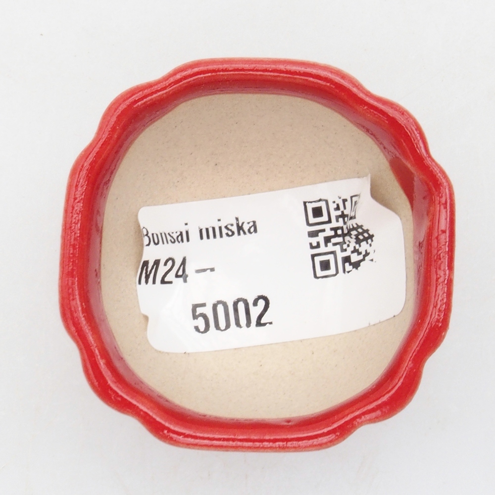 Mini bonsaischaal 4 x 4 x 2,5 cm, kleur rood