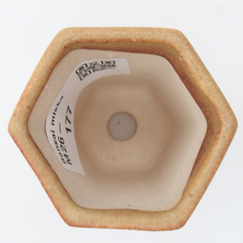 Mini bonsaischaal 5 x 4,5 x 6,5 cm, bruin