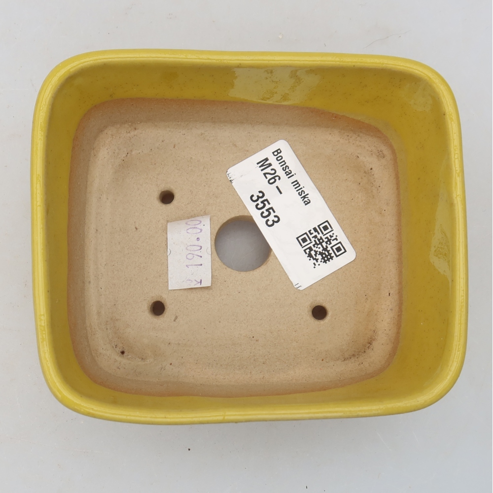 Keramische bonsaipot 10,5 x 8,5 x 4 cm, kleur: geel