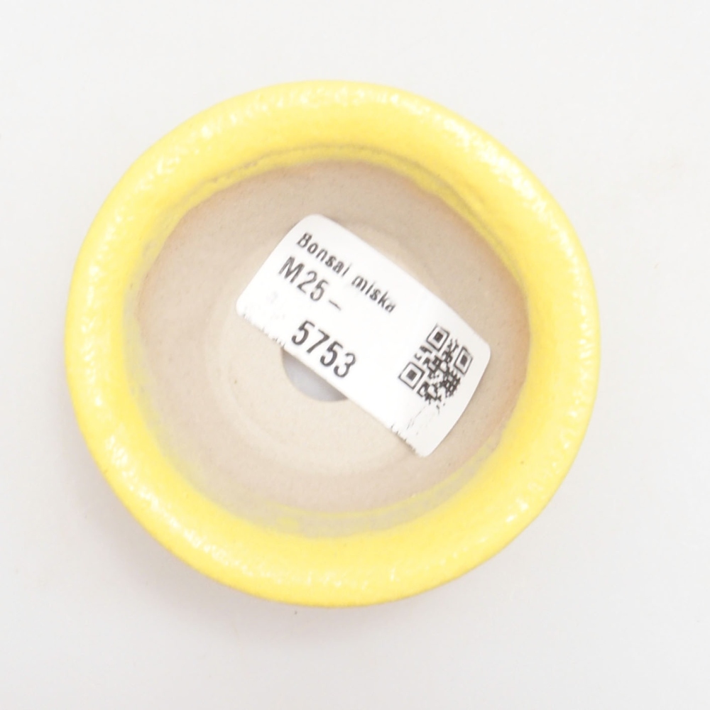 Bonsaischaal van keramiek 7 x 7 x 2,5 cm, geel