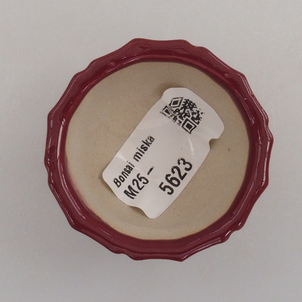 Mini bonsaischaal 5 x 5 x 3 cm, bordeauxrood