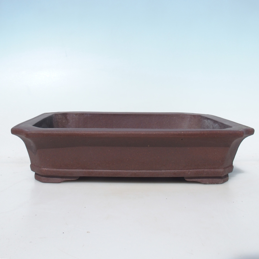 Bonsaischaal 30,5 x 24,5 x 7 cm berken bruin