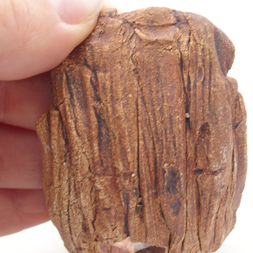 Keramisch Schelp 9 x 4,5 x 4,5 cm , kleur bruin