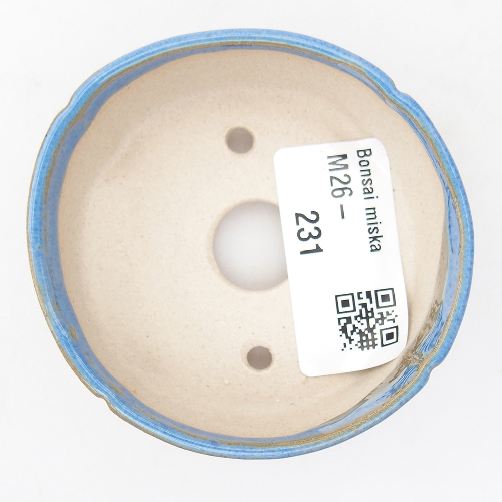 Mini bonsaischaal 6,5 x 6,5 x 2,5 cm, kleur blauw