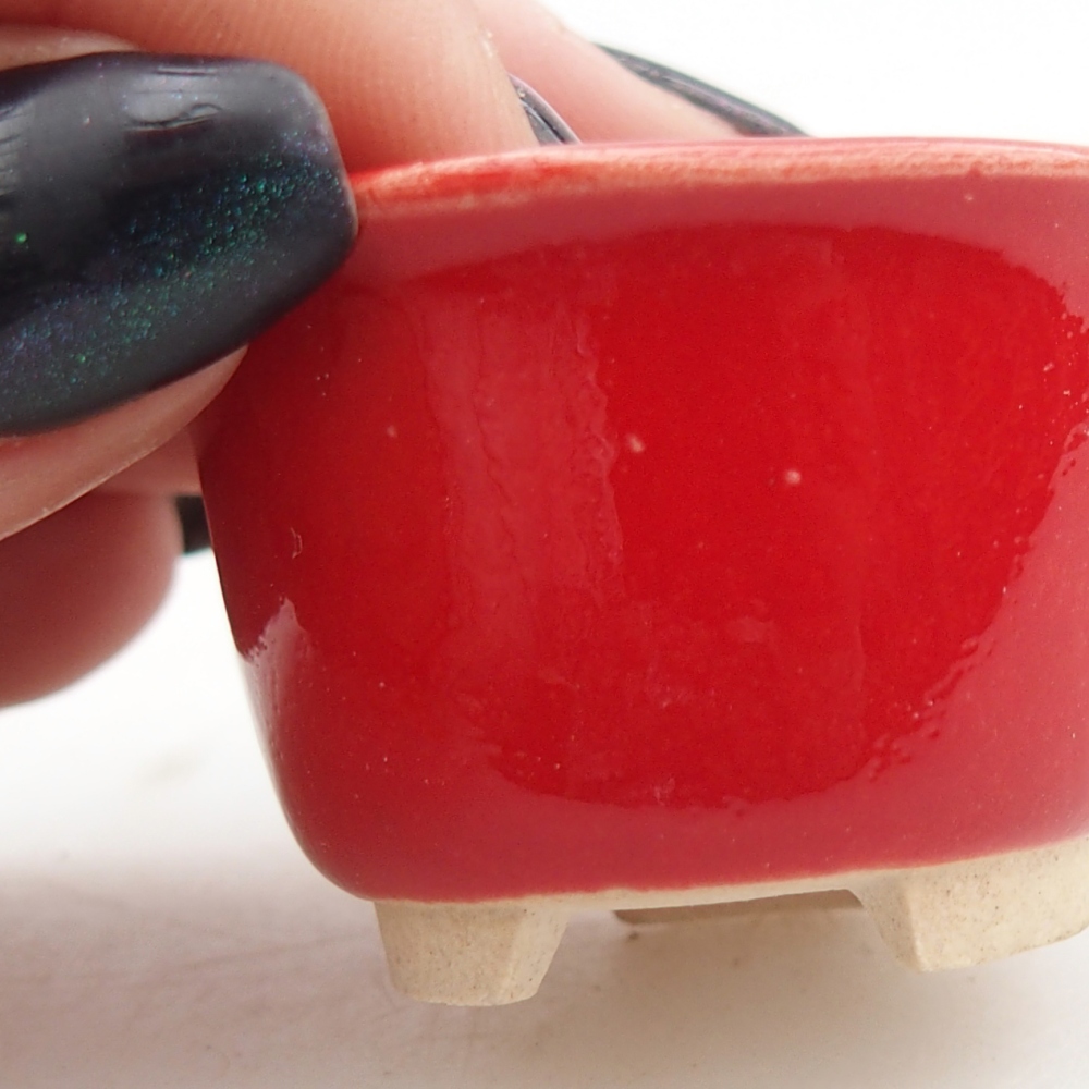 Mini bonsaischaal 4 x 4 x 2,5 cm, kleur rood