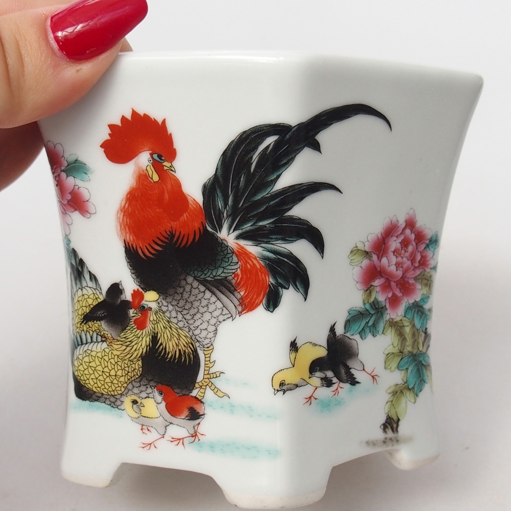 Bonsaischaal van keramiek 10,5 x 9,5 x 9 cm, kleur wit