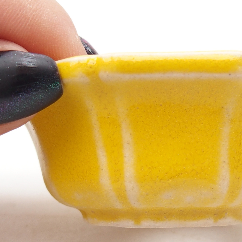 Mini bonsaischaal 6 x 6 x 2,5 cm, geel