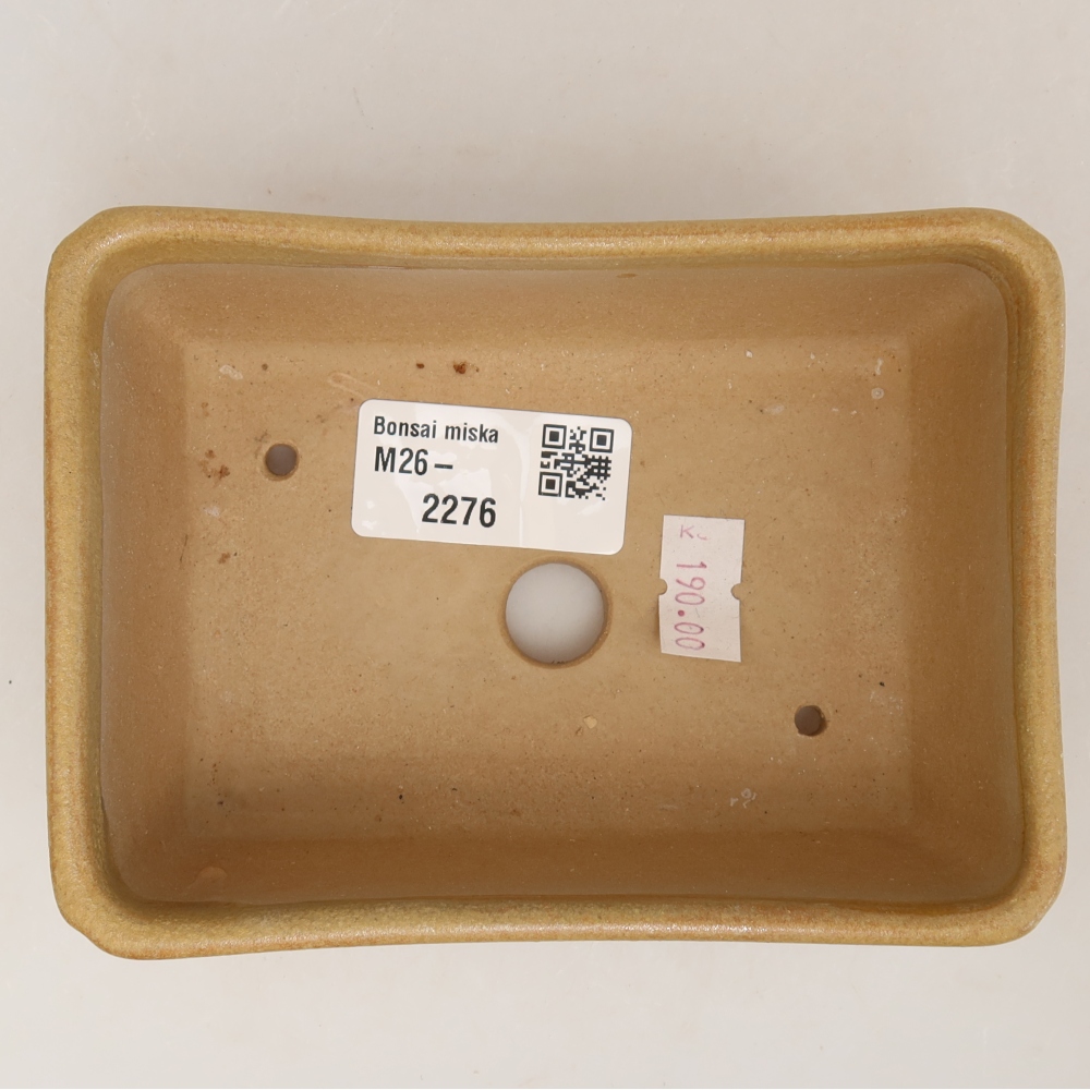 Keramische bonsaipot 13 x 9 x 5 cm, kleur beige