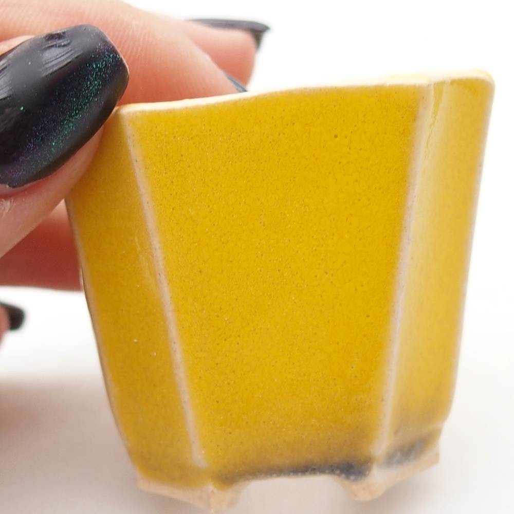 Mini bonsaischaal 4,5 x 4,5 x 4 cm, geel