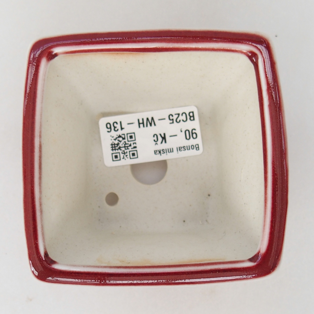 Mini bonsaischaal 8,5 x 8,5 x 6 cm, kleur rood