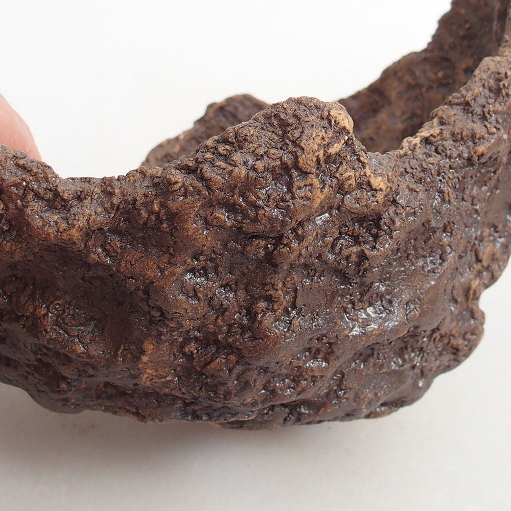 Keramisch Schelp 13 x 11 x 11 cm , kleur bruin