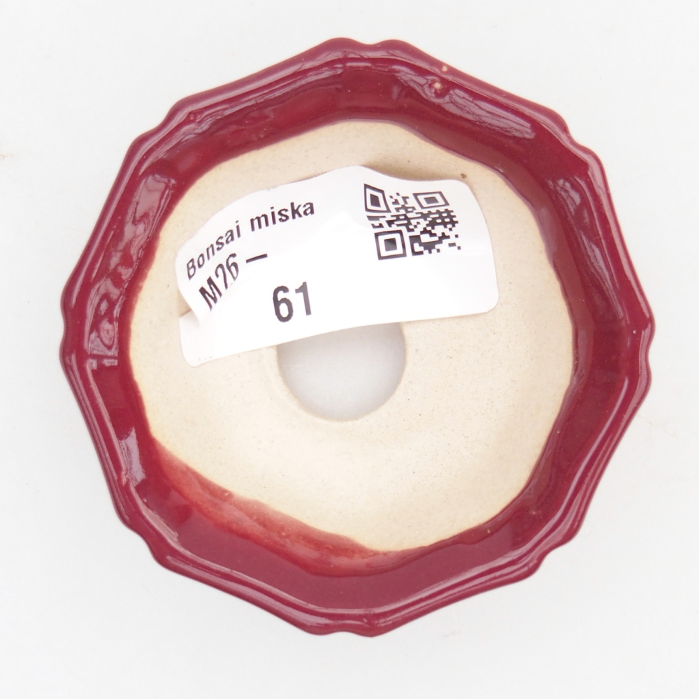 Mini bonsaischaal 6 x 6 x 2,5 cm, bordeauxrood