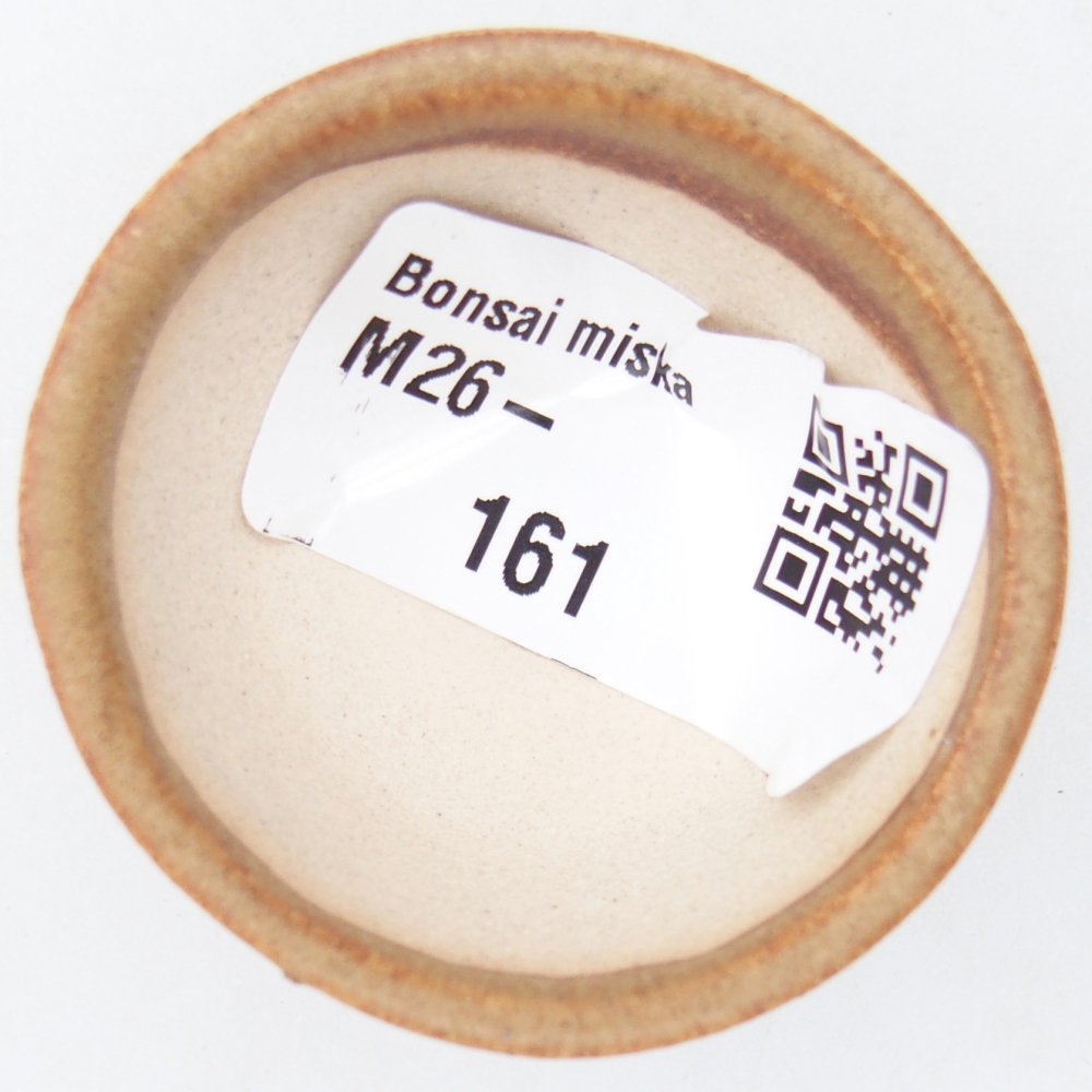 Mini bonsaischaal 4,5 x 4,5 x 2,5 cm, bruin