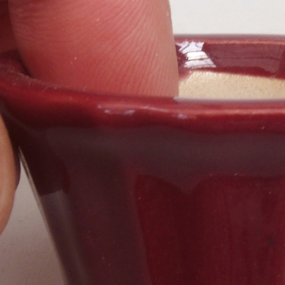 Mini bonsaischaal 5 x 5 x 2,5 cm, kleur bordeauxrood