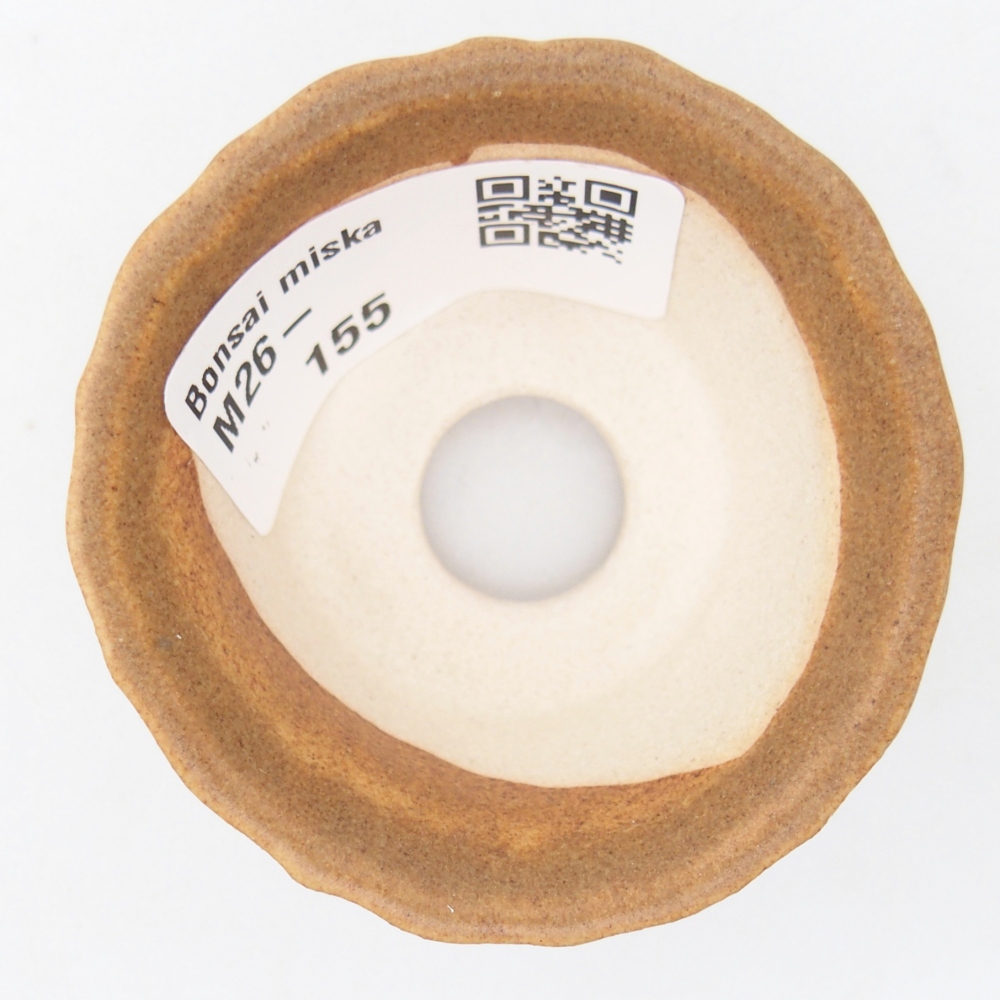 Mini bonsaischaal 5,5 x 5,5 x 3 cm, bruin