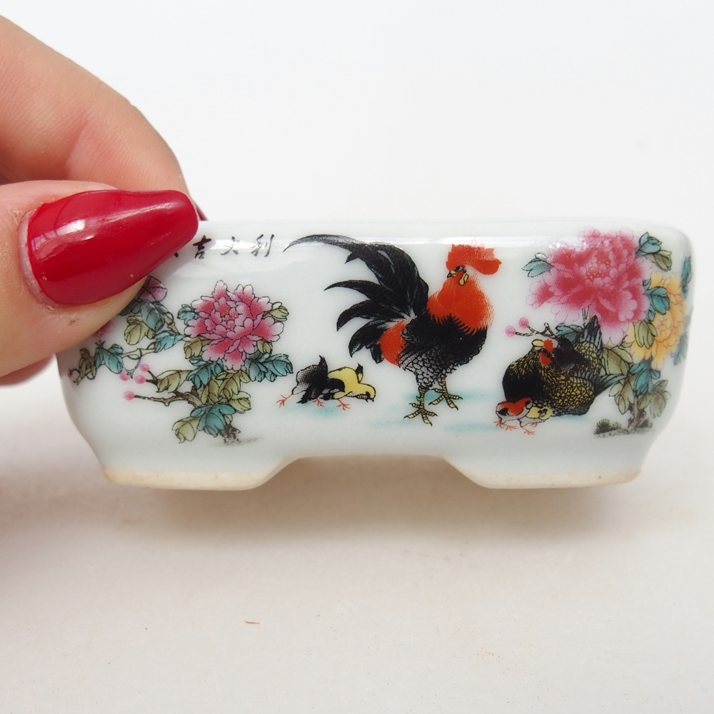 Mini bonsaischaal 8 x 6 x 3 cm, wit