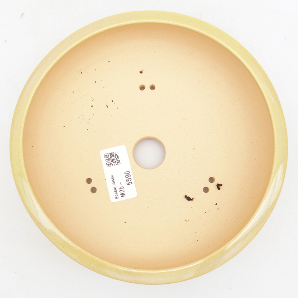 Bonsaischaal van keramiek 18 x 18 x 6 cm, groen