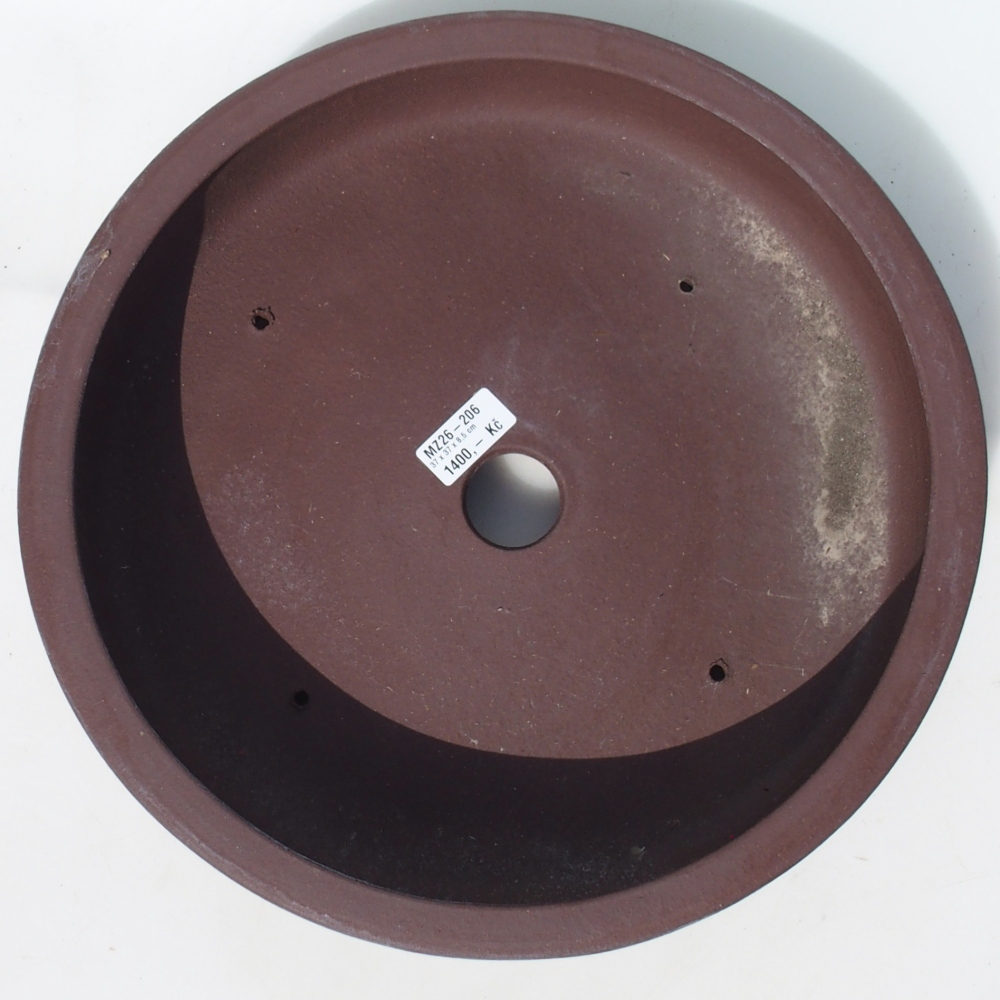 Bonsaischaal 37 x 37 x 8,5 cm berken bruin